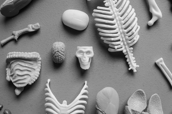 Comment les seniors peuvent-ils bénéficier de la kinésithérapie pour améliorer leur qualité de vie ?